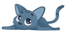 bestes-katzenfutter.com - Katze Felicitas